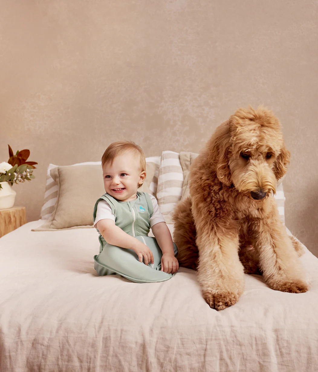 Swaddle Up™ Transition Bag 0.2 TOG Cotton Olive - Image 8